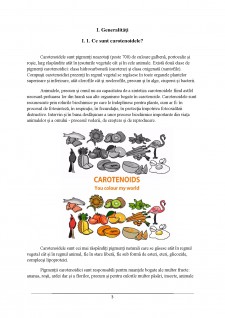 Analiza carotenoidelor din legume cu ajutorul metodei HPLC - Pagina 3