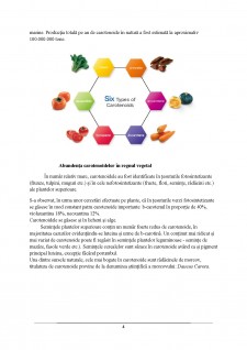 Analiza carotenoidelor din legume cu ajutorul metodei HPLC - Pagina 4