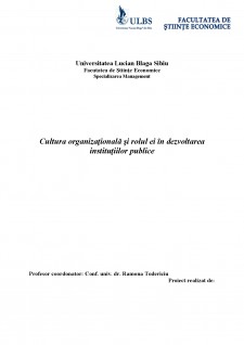 Cultura organizațională și rolul ei în dezvoltarea instituțiilor publice - Pagina 1