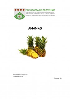 Ananas - Pagina 1