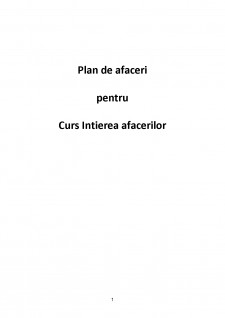 Plan de afaceri - Pagina 1