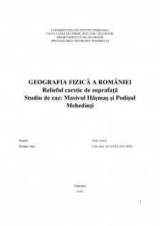 Relieful carstic de suprafață Studiu de caz - Masivul Hășmaș și Podișul Mehedinți - Pagina 1