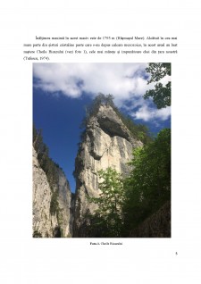 Relieful carstic de suprafață Studiu de caz - Masivul Hășmaș și Podișul Mehedinți - Pagina 5