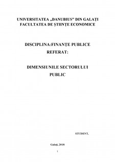 Dimensiunile sectorului public - Pagina 1