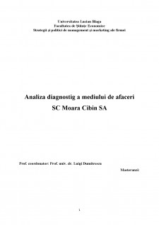 Analiza diagnostic a mediului de afaceri SC Moara Cibin SA - Pagina 1