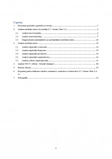 Analiza diagnostic a mediului de afaceri SC Moara Cibin SA - Pagina 2