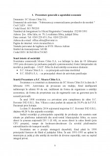 Analiza diagnostic a mediului de afaceri SC Moara Cibin SA - Pagina 3