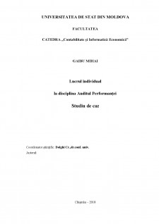 Lucru individual - Auditul Performanței - Pagina 1