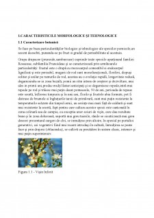 Principii și metode de conservare a dulceței de vișine - Pagina 5
