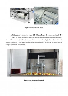 Linie automatizată de sortare și ambalare mere - Pagina 5