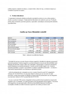 Analiza financiară a companiei Kraft Heinz - Pagina 5