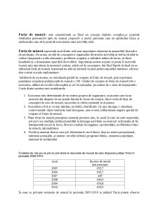 Evoluția forței de muncă în județul Timiș între anii 2005-2010 - Pagina 2