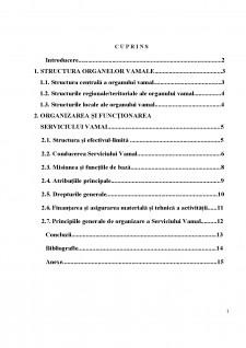 Caracteristica organelor de administrare vamală - Pagina 2