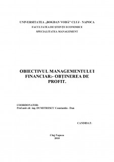 Obiectivul managementului financiar - Obținerea de profit - Pagina 4