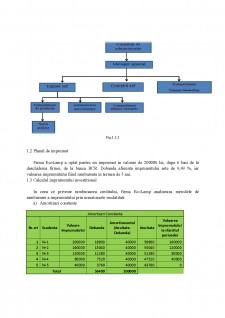 Plan de afacere EcoLamp - Pagina 4