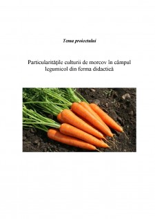 Particularitățile culturii de morcov în câmpul legumicol din ferma didactică - Pagina 1