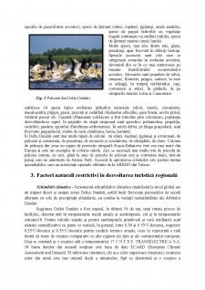 Valorificarea turistică a zonei deltaice Delta Dunării - Pagina 5