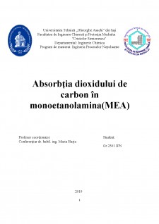 Absorbția dioxidului de carbon în monoetanolamina (MEA) - Pagina 1