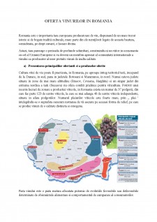 Oferta vinurilor în România - Pagina 2