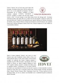 Oferta vinurilor în România - Pagina 4