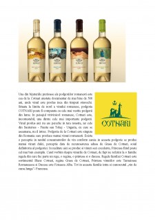 Oferta vinurilor în România - Pagina 5