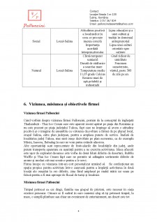 Structură plan de afaceri pentru evaluarea activității de seminar - Pagina 5