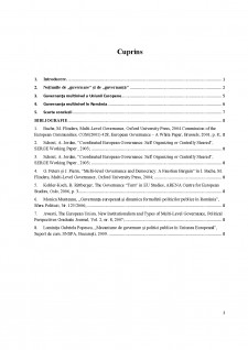 Guvernanța multilevel - Pagina 1