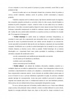 Influența factorilor de mediu asupra rezultatelor financiare ale firmei SC Dedeman Automobile SRL - Pagina 3