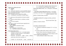 Proiect clasa pregătitoare și a III-a CLR și Limba și Literatura Română - Pagina 3