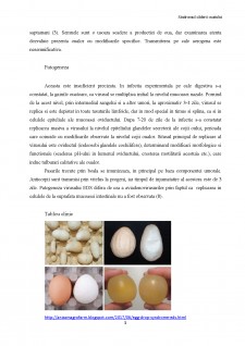 Sindromul căderii ouatului - Pagina 4