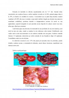 Sindromul căderii ouatului - Pagina 5