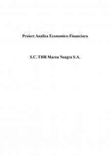 Analiza economico-financiară - SC THR Marea Neagra SA - Pagina 1