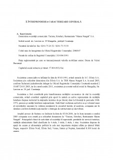 Analiza economico-financiară - SC THR Marea Neagra SA - Pagina 2