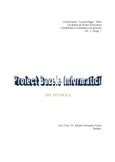Bazele informatici - Vel Pitar SA - Pagina 1