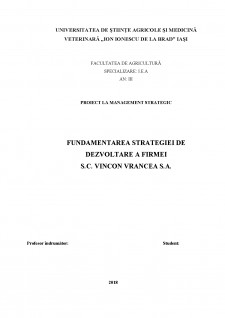 Fundamentarea strategiei de dezvoltare a firmei SC Vincon Vrancea SA - Pagina 1