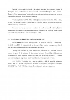 Fundamentarea strategiei de dezvoltare a firmei SC Vincon Vrancea SA - Pagina 4