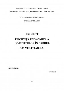 Eficiența economică a investițiilor în cadrul SC Vel Pitar SA - Pagina 1