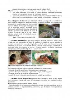Poluarea apei - Pagina 4