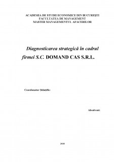 Diagnosticarea strategică în cadrul firmei SC Domand CAȘ SRL - Pagina 2