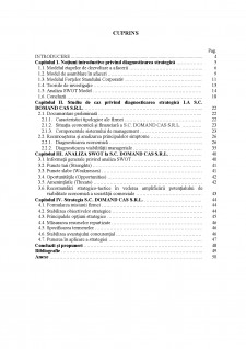 Diagnosticarea strategică în cadrul firmei SC Domand CAȘ SRL - Pagina 3
