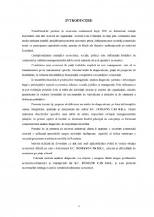 Diagnosticarea strategică în cadrul firmei SC Domand CAȘ SRL - Pagina 4