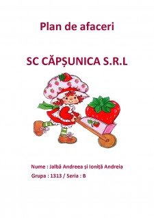 Plan de afaceri SC Căpșunica SRL - Pagina 1