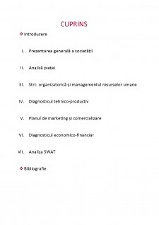 Plan de afaceri SC Căpșunica SRL - Pagina 2