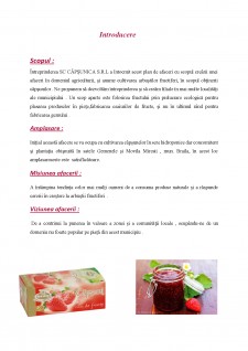Plan de afaceri SC Căpșunica SRL - Pagina 3