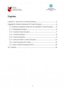 Instituții ale Uniunii Europene - atribuții financiare și modul de înfăptuire a acestora - Pagina 2