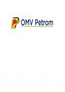 Analiza surselor de finanțare ale întreprinderii OMV Petrom - Pagina 2