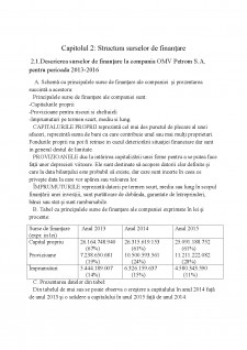 Analiza surselor de finanțare ale întreprinderii OMV Petrom - Pagina 4