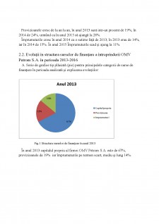 Analiza surselor de finanțare ale întreprinderii OMV Petrom - Pagina 5