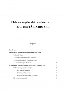 Elaborarea planului de afaceri al SC Brutaria Bio SRL - Pagina 2
