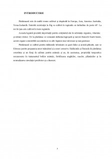 Standarde, cerințe minime de calitate și caracterizarea tehnologice a speciei păstârnac (pastinaca sativa l.) - Pagina 3